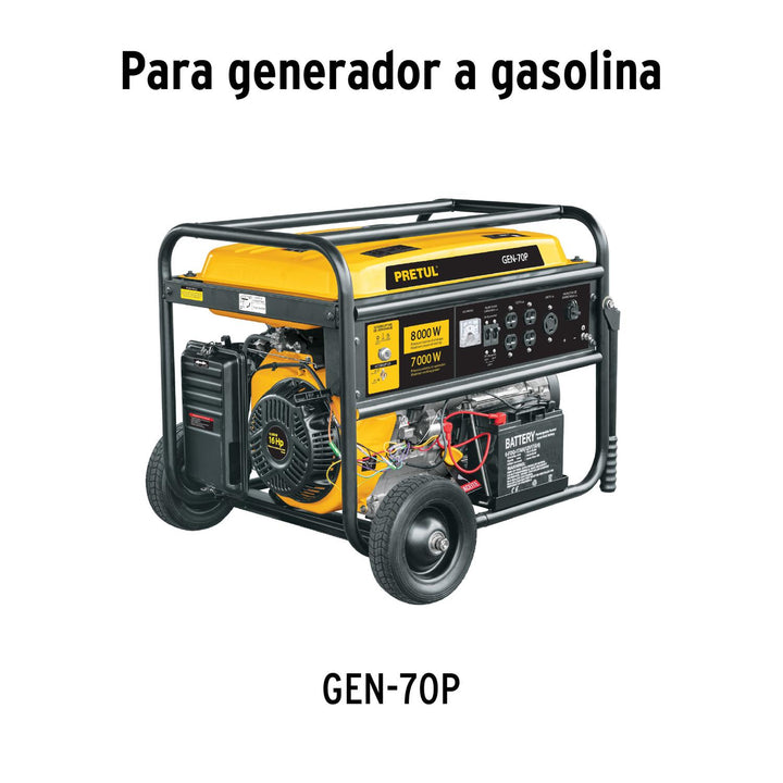 CARBURADOR PARA GENERADOR ELÉCTRICO GEN-70P PRETUL - Mundo Tool 