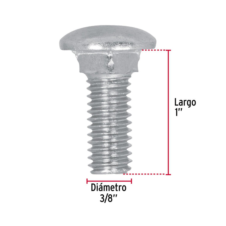 Tornillo Tipo Coche Galvanizado 3/8 X 1' 40pz Fiero - Mundo Tool 