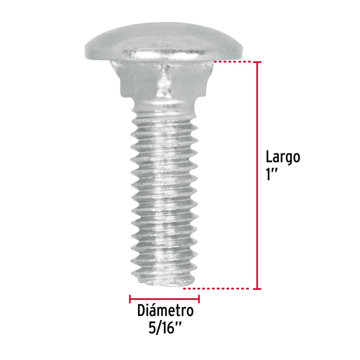 Tornillo Tipo Coche Galvanizado 5/16 X 1' 60p Fiero - Mundo Tool 